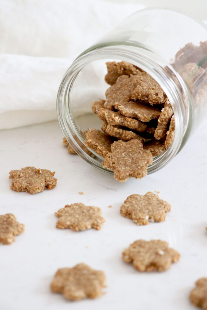 Glass jar of homemade dog treats in a flower shape spilled on white kitchen counter.