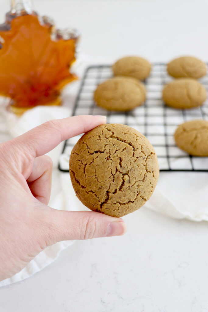 Hand holding ginger maple cookie in front of picture with wire rack of cookies and maple syrup in the background.