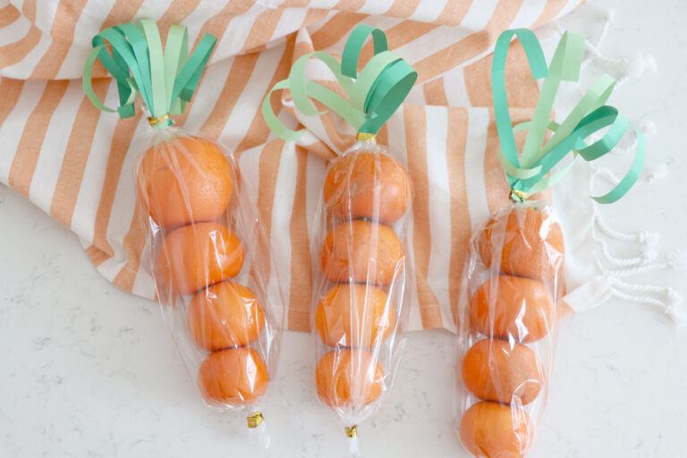 Orange Carrot Gift Bags